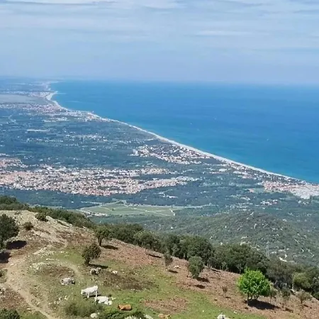 Renove, 1ere Ligne De Plage, Terrasse Privee Avec Barbecue, Climatisation, Proche Commerces - Fr-1-732-13 * Argeles-sur-Mer