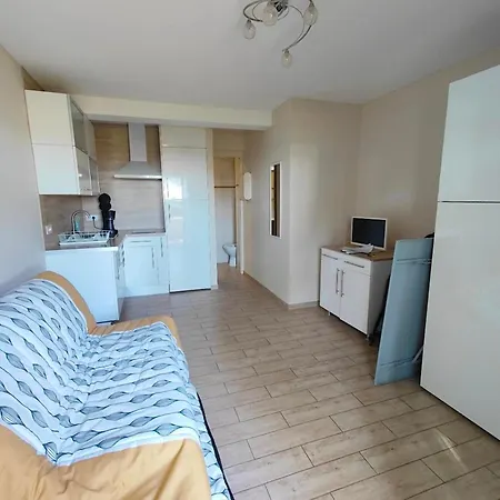 Renove, 1ere Ligne De Plage, Terrasse Privee Avec Barbecue, Climatisation, Proche Commerces - Fr-1-732-13 * Argeles-sur-Mer