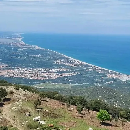 Renove, 1ere Ligne De Plage, Terrasse Privee Avec Barbecue, Climatisation, Proche Commerces - Fr-1-732-13 Appartement *